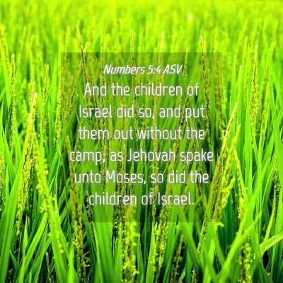 Picture 04 - Numbers 5:4 ASV - And the children of Israel did so, and put them - Bible Verse Picture