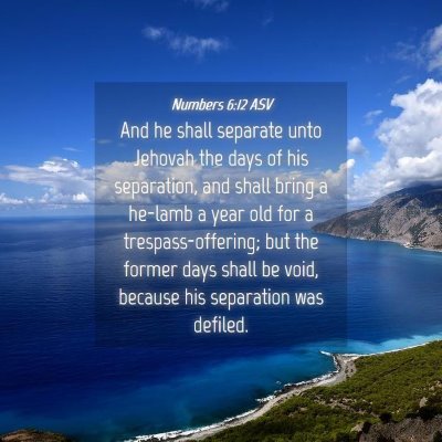 Picture 04 - Numbers 6:12 ASV - And he shall separate unto Jehovah the days of - Bible Verse Picture
