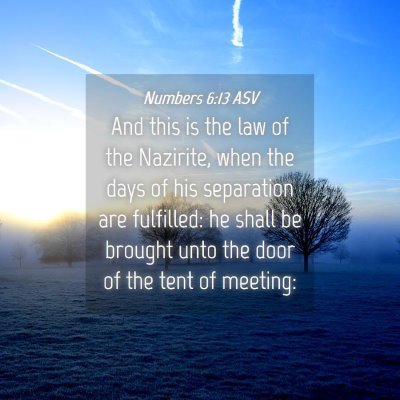 Picture 04 - Numbers 6:13 ASV - And this is the law of the Nazirite, when the - Bible Verse Picture