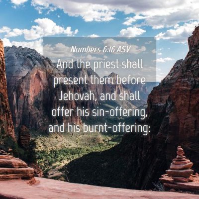 Picture 04 - Numbers 6:16 ASV - And the priest shall present them before Jehovah, - Bible Verse Picture