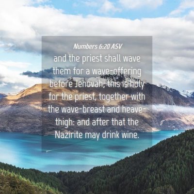 Picture 04 - Numbers 6:20 ASV - and the priest shall wave them for a - Bible Verse Picture