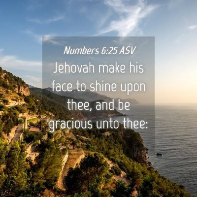 Picture 04 - Numbers 6:25 ASV - Jehovah make his face to shine upon thee, and be - Bible Verse Picture