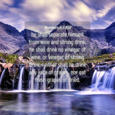 Picture 04 - Numbers 6:3 ASV - he shall separate himself from wine and strong - Bible Verse Picture