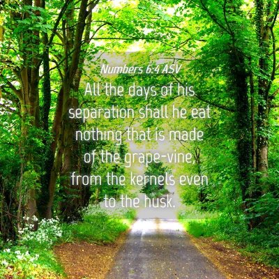 Picture 04 - Numbers 6:4 ASV - All the days of his separation shall he eat - Bible Verse Picture