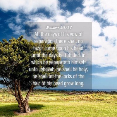 Picture 04 - Numbers 6:5 ASV - All the days of his vow of separation there shall - Bible Verse Picture