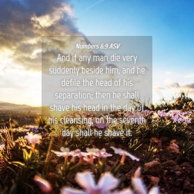 Picture 04 - Numbers 6:9 ASV - And if any man die very suddenly beside him, and - Bible Verse Picture