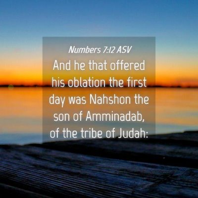 Picture 04 - Numbers 7:12 ASV - And he that offered his oblation the first day - Bible Verse Picture