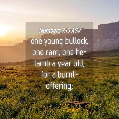 Picture 04 - Numbers 7:15 ASV - one young bullock, one ram, one he-lamb a year - Bible Verse Picture