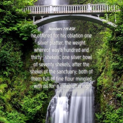 Picture 04 - Numbers 7:19 ASV - he offered for his oblation one silver platter, - Bible Verse Picture