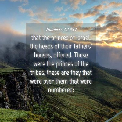 Picture 04 - Numbers 7:2 ASV - that the princes of Israel, the heads of their - Bible Verse Picture