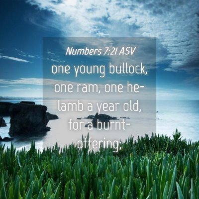 Picture 04 - Numbers 7:21 ASV - one young bullock, one ram, one he-lamb a year - Bible Verse Picture