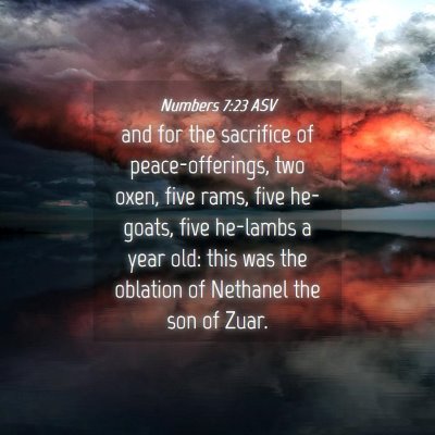Picture 04 - Numbers 7:23 ASV - and for the sacrifice of peace-offerings, two - Bible Verse Picture