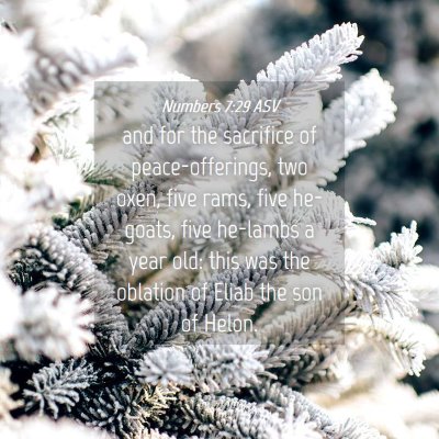 Picture 04 - Numbers 7:29 ASV - and for the sacrifice of peace-offerings, two - Bible Verse Picture