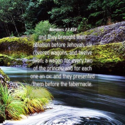 Picture 04 - Numbers 7:3 ASV - and they brought their oblation before Jehovah, - Bible Verse Picture