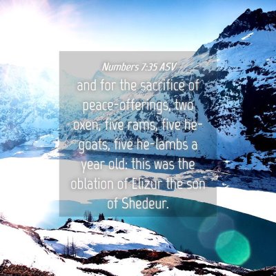 Picture 04 - Numbers 7:35 ASV - and for the sacrifice of peace-offerings, two - Bible Verse Picture