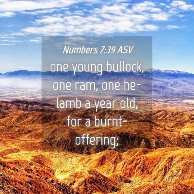 Picture 04 - Numbers 7:39 ASV - one young bullock, one ram, one he-lamb a year - Bible Verse Picture