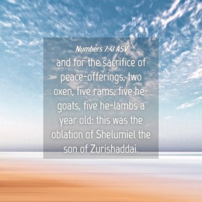 Picture 04 - Numbers 7:41 ASV - and for the sacrifice of peace-offerings, two - Bible Verse Picture