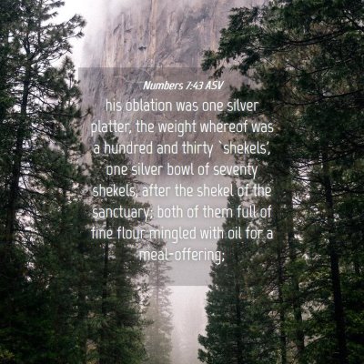 Picture 04 - Numbers 7:43 ASV - his oblation was one silver platter, the weight - Bible Verse Picture