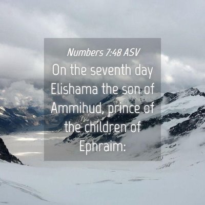Picture 04 - Numbers 7:48 ASV - On the seventh day Elishama the son of Ammihud, - Bible Verse Picture