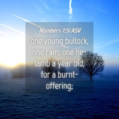Picture 04 - Numbers 7:51 ASV - one young bullock, one ram, one he-lamb a year - Bible Verse Picture