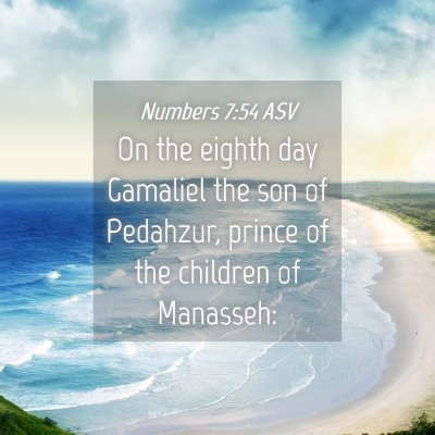 Picture 04 - Numbers 7:54 ASV - On the eighth day Gamaliel the son of Pedahzur, - Bible Verse Picture