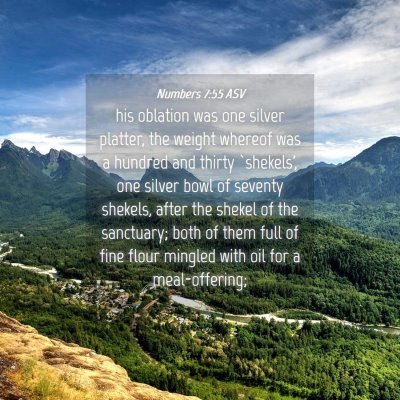 Picture 04 - Numbers 7:55 ASV - his oblation was one silver platter, the weight - Bible Verse Picture