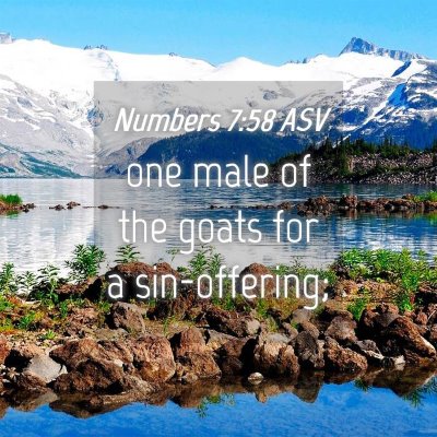 Picture 04 - Numbers 7:58 ASV - one male of the goats for a - Bible Verse Picture