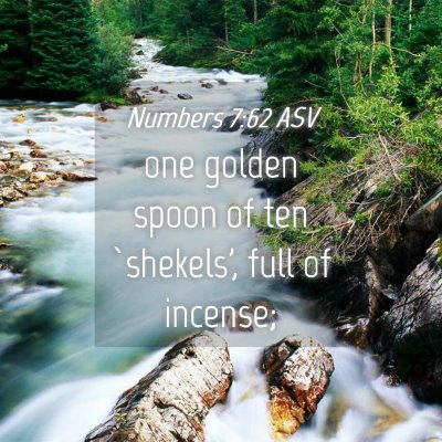 Picture 04 - Numbers 7:62 ASV - one golden spoon of ten `shekels', full of - Bible Verse Picture