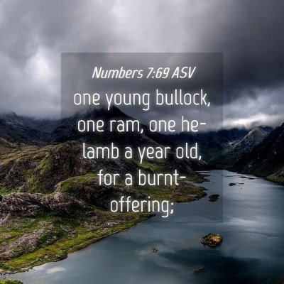 Picture 04 - Numbers 7:69 ASV - one young bullock, one ram, one he-lamb a year - Bible Verse Picture