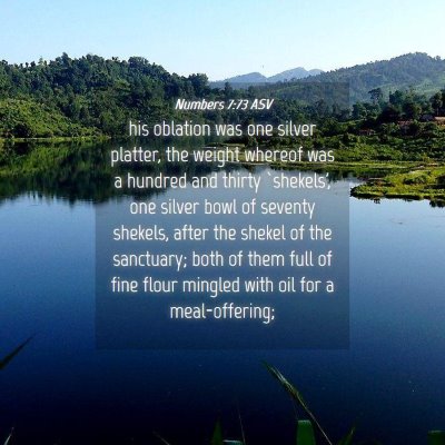Picture 04 - Numbers 7:73 ASV - his oblation was one silver platter, the weight - Bible Verse Picture
