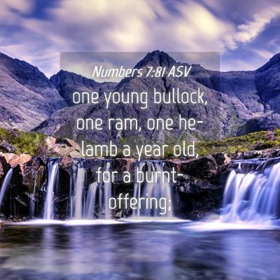 Picture 04 - Numbers 7:81 ASV - one young bullock, one ram, one he-lamb a year - Bible Verse Picture