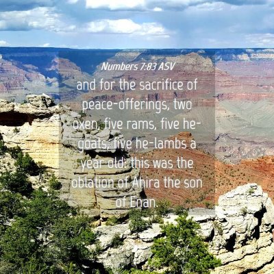 Picture 04 - Numbers 7:83 ASV - and for the sacrifice of peace-offerings, two - Bible Verse Picture