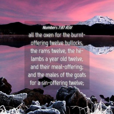 Picture 04 - Numbers 7:87 ASV - all the oxen for the burnt-offering twelve - Bible Verse Picture