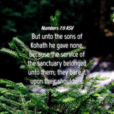 Picture 04 - Numbers 7:9 ASV - But unto the sons of Kohath he gave none, because - Bible Verse Picture