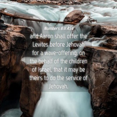 Picture 04 - Numbers 8:11 ASV - and Aaron shall offer the Levites before Jehovah - Bible Verse Picture