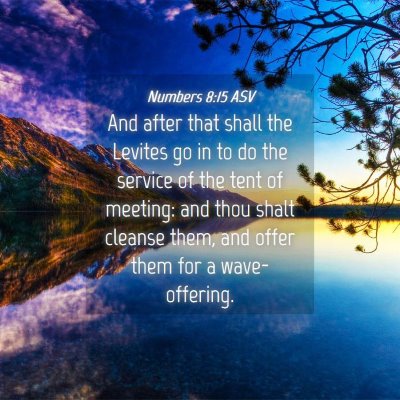 Picture 04 - Numbers 8:15 ASV - And after that shall the Levites go in to do the - Bible Verse Picture