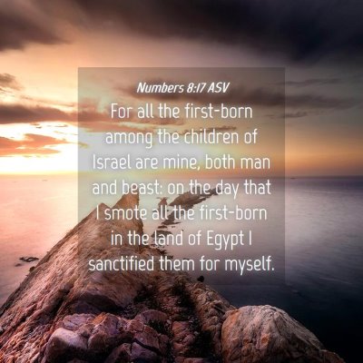Picture 04 - Numbers 8:17 ASV - For all the first-born among the children of - Bible Verse Picture