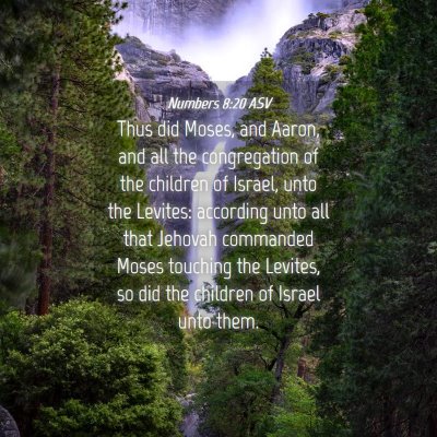 Picture 04 - Numbers 8:20 ASV - Thus did Moses, and Aaron, and all the - Bible Verse Picture