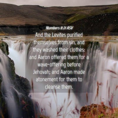Picture 04 - Numbers 8:21 ASV - And the Levites purified themselves from sin, and - Bible Verse Picture
