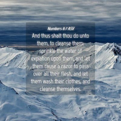 Picture 04 - Numbers 8:7 ASV - And thus shalt thou do unto them, to cleanse - Bible Verse Picture