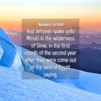 Picture 04 - Numbers 9:1 ASV - And Jehovah spake unto Moses in the wilderness of - Bible Verse Picture