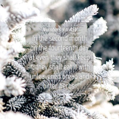 Picture 04 - Numbers 9:11 ASV - In the second month on the fourteenth day at even - Bible Verse Picture