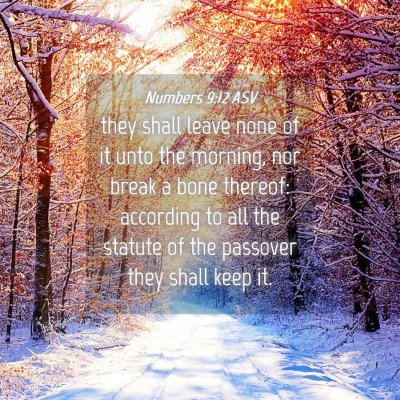 Picture 04 - Numbers 9:12 ASV - they shall leave none of it unto the morning, nor - Bible Verse Picture
