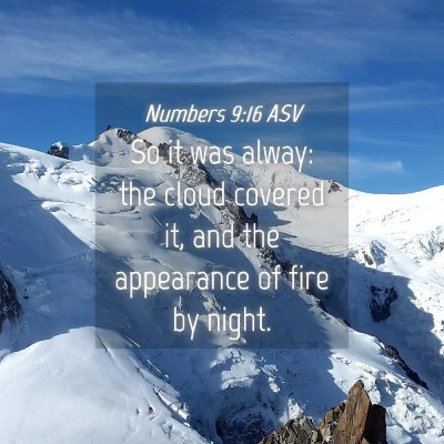 Picture 04 - Numbers 9:16 ASV - So it was alway: the cloud covered it, and the - Bible Verse Picture