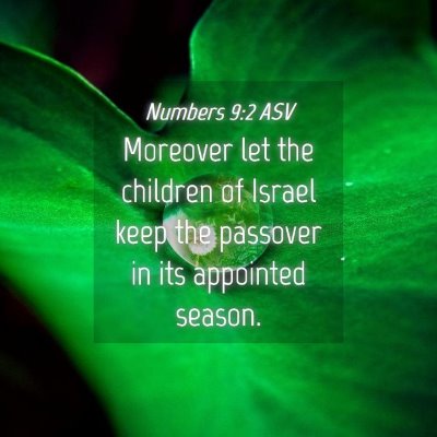 Picture 04 - Numbers 9:2 ASV - Moreover let the children of Israel keep the - Bible Verse Picture