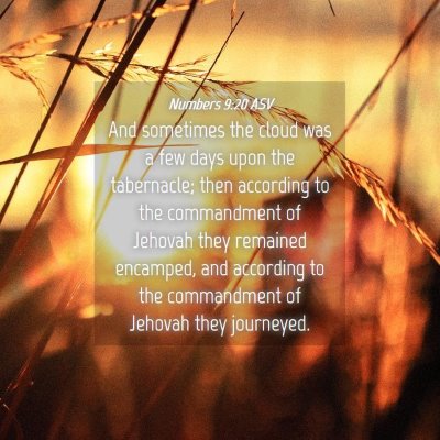 Picture 04 - Numbers 9:20 ASV - And sometimes the cloud was a few days upon the - Bible Verse Picture