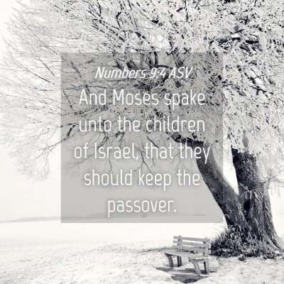 Picture 04 - Numbers 9:4 ASV - And Moses spake unto the children of Israel, that - Bible Verse Picture