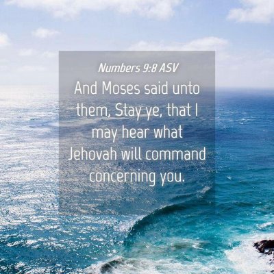 Picture 04 - Numbers 9:8 ASV - And Moses said unto them, Stay ye, that I may - Bible Verse Picture