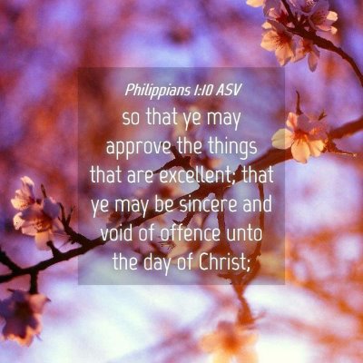 Picture 04 - Philippians 1:10 ASV - so that ye may approve the things that are - Bible Verse Picture