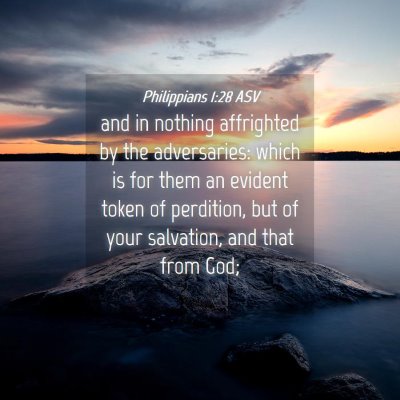 Picture 04 - Philippians 1:28 ASV - and in nothing affrighted by the adversaries: - Bible Verse Picture